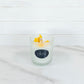 Haven Ritual Luxury Coconut Beeswax Candle-8 oz
